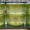 Gel làm dịu vết côn trùng cắn